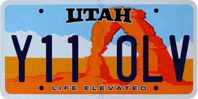 UT license plate Y110LV