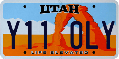UT license plate Y110LY