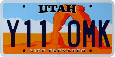 UT license plate Y110MK
