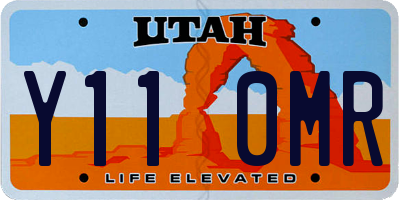 UT license plate Y110MR