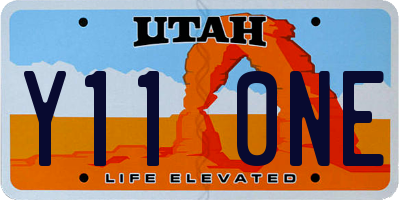 UT license plate Y110NE
