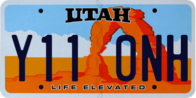 UT license plate Y110NH
