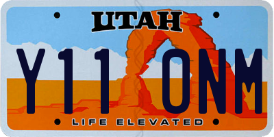 UT license plate Y110NM