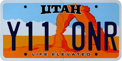UT license plate Y110NR