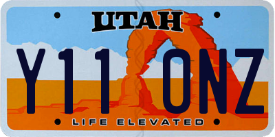 UT license plate Y110NZ