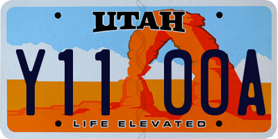 UT license plate Y110OA