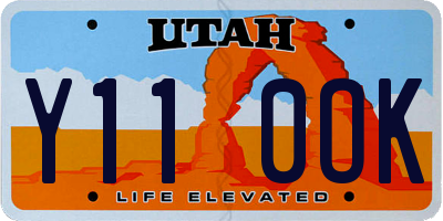 UT license plate Y110OK