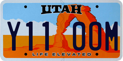 UT license plate Y110OM