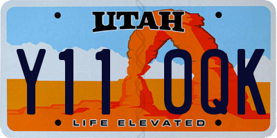 UT license plate Y110QK
