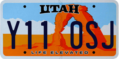 UT license plate Y110SJ