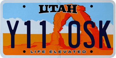 UT license plate Y110SK