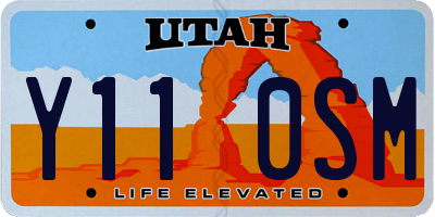 UT license plate Y110SM