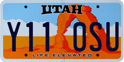 UT license plate Y110SU