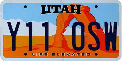 UT license plate Y110SW