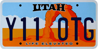UT license plate Y110TG