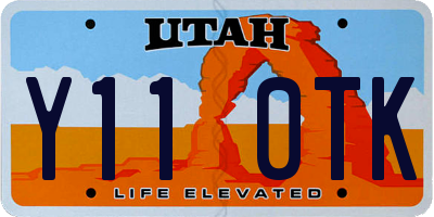 UT license plate Y110TK