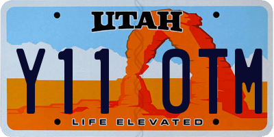 UT license plate Y110TM