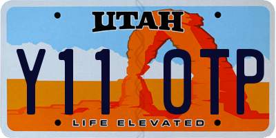 UT license plate Y110TP