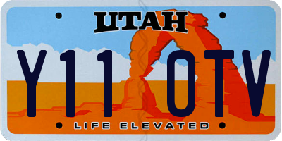 UT license plate Y110TV