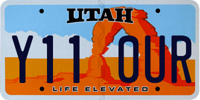 UT license plate Y110UR