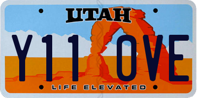 UT license plate Y110VE