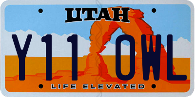 UT license plate Y110WL