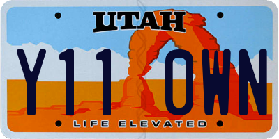 UT license plate Y110WN
