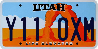UT license plate Y110XM