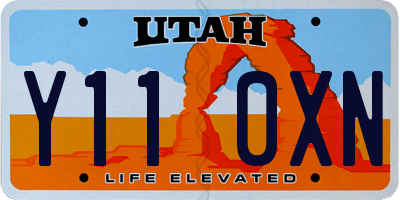 UT license plate Y110XN