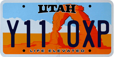 UT license plate Y110XP