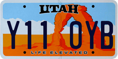 UT license plate Y110YB