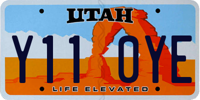 UT license plate Y110YE