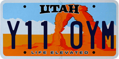 UT license plate Y110YM