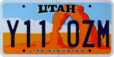 UT license plate Y110ZM