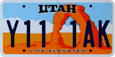 UT license plate Y111AK
