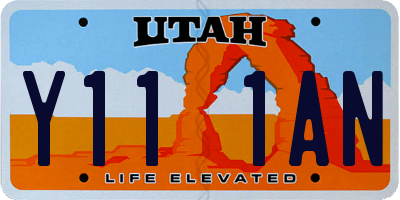 UT license plate Y111AN
