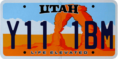 UT license plate Y111BM