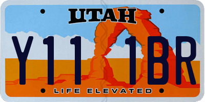 UT license plate Y111BR