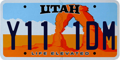 UT license plate Y111DM