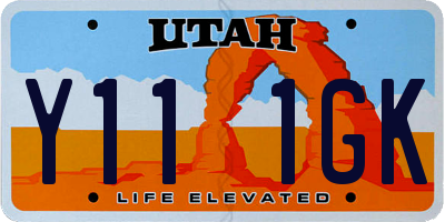 UT license plate Y111GK