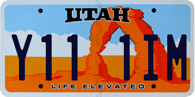 UT license plate Y111IM