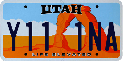 UT license plate Y111NA