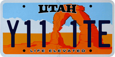 UT license plate Y111TE