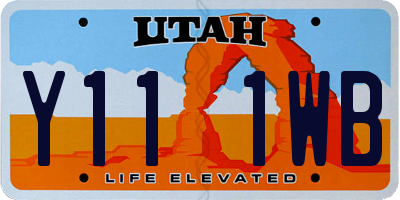 UT license plate Y111WB