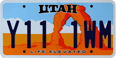 UT license plate Y111WM