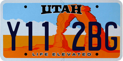 UT license plate Y112BG