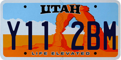 UT license plate Y112BM