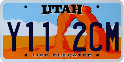 UT license plate Y112CM