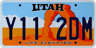 UT license plate Y112DM