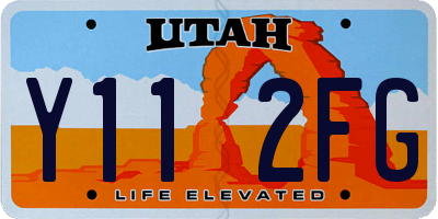UT license plate Y112FG